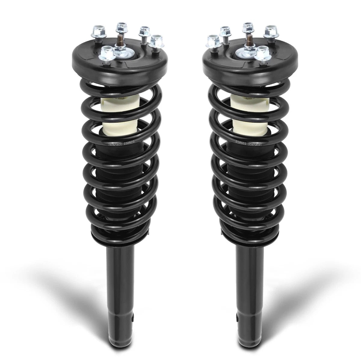 Complete Front Struts Assembly w/Coil Spring for Acura TL TSX/Honda Accord (2003–2008)
