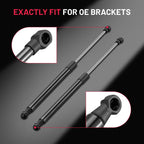 Set of 2 Rear Hatch Lift Supports for Scion tC (2011-2016)