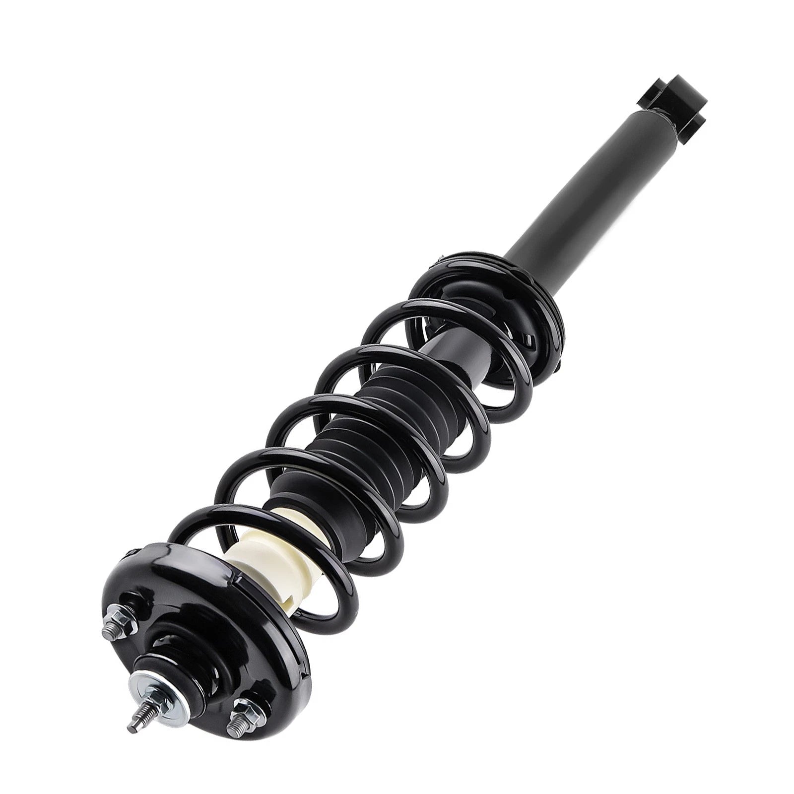Pair Rear Struts w/Coil Spring Assembly for Acura TSX (2004–2008)