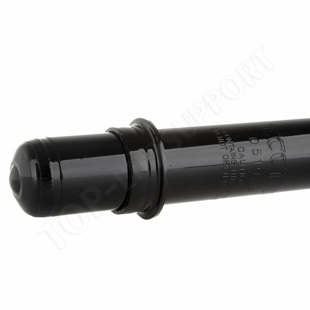 Front Pair Shocks Struts for Honda Accord, Acura TL, TSX (2003–2007)
