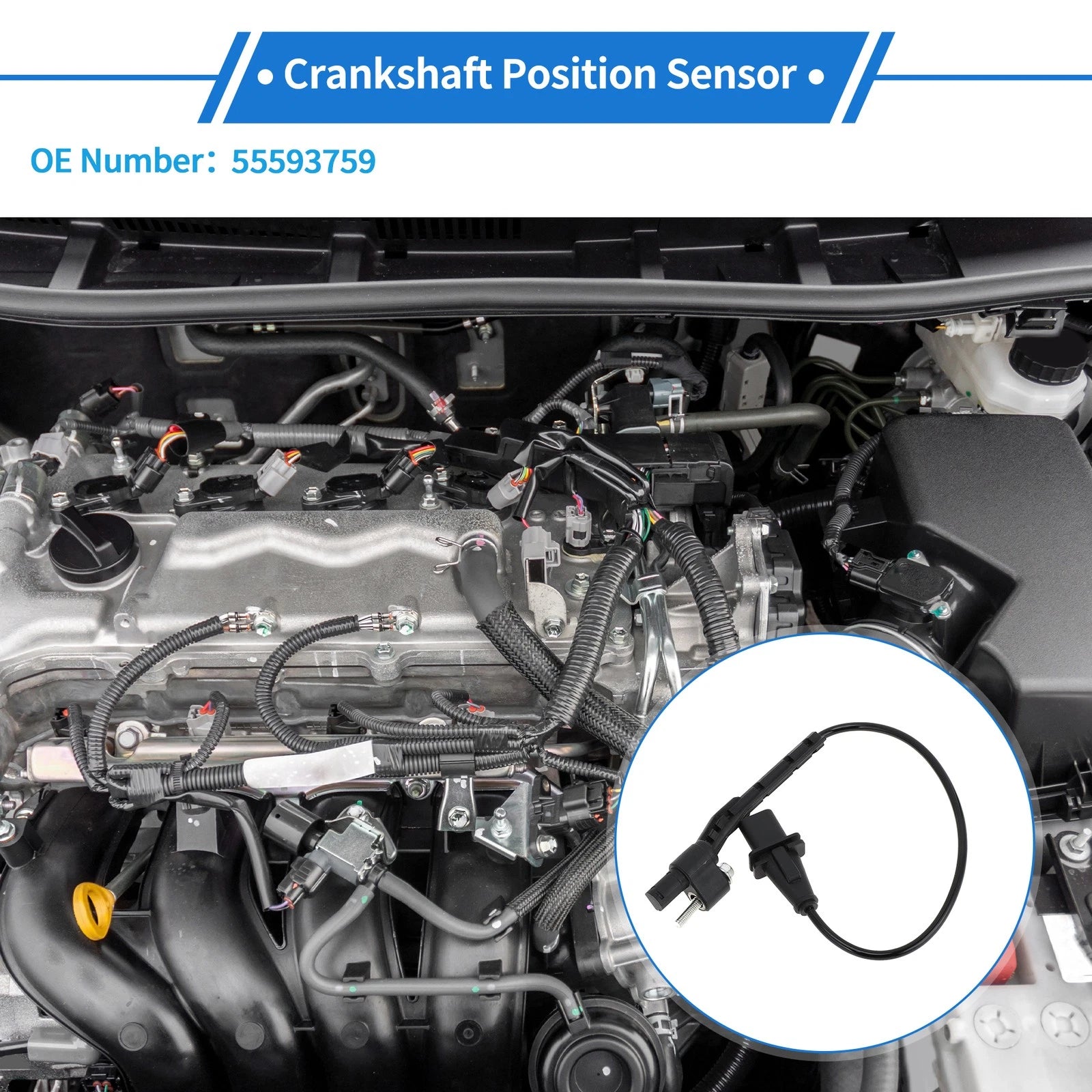 Crankshaft Position Sensor for Chevy Colorado 2.8 Diesel (2016–2022) No. 55593759