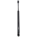 Rear Trunk Lift Supports for BMW (2000-2006)