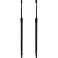 Set of 2 Liftgate Lift Supports for Hatchback (Driver & Passenger Side)