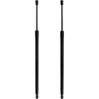 Set of 2 Liftgate Lift Supports for Hatchback (Driver & Passenger Side)