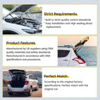 2X Front Hood Lift Supports for Nissan Murano (2003–2007)