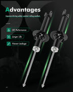 Rear Pair Shocks & Struts for Honda Accord (2008–2014)