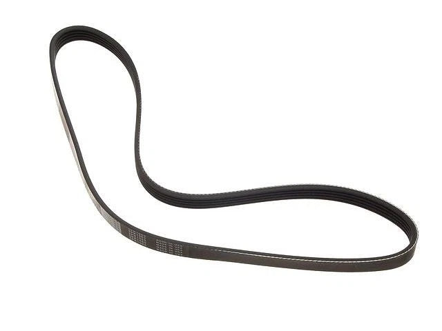 Multi Rib Belt for Mazda 626 (1983–1985, 1988–1992) PF955BH
