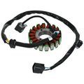 Stator for Suzuki DR-Z400E DR-Z400S DR-Z400SM DR-Z250 (2000–2017) 32101-29F00