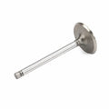 Engine Intake Valve for Chevrolet GMC Cadillac Oldsmobile (2000–2005) 10241743