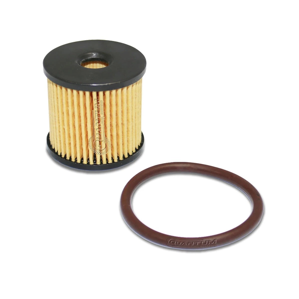 Fuel Pump Filter Rebuild Kit for Harley-Davidson Road King Glide (2004–2004)