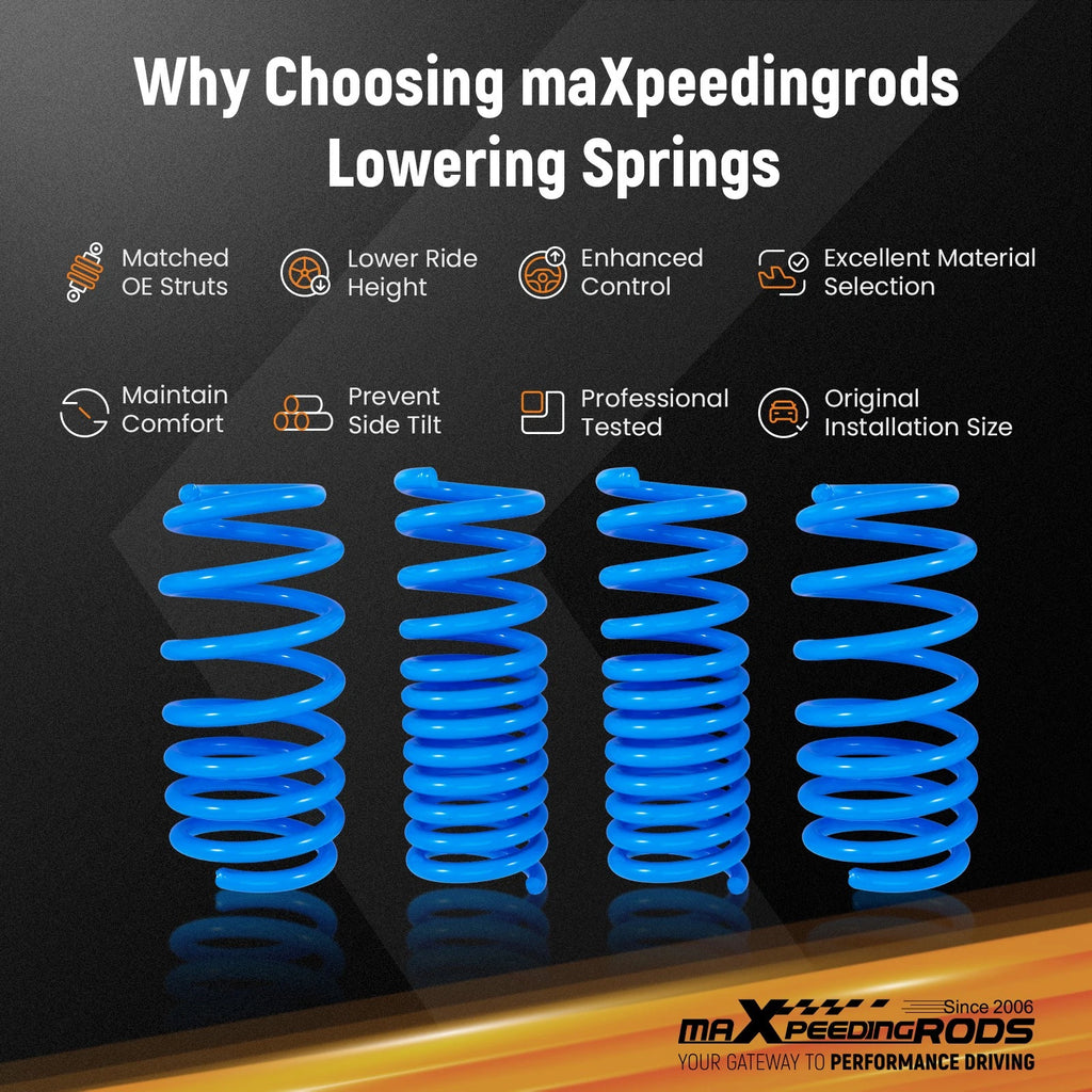 Lowering Springs for Chrysler 300 300C / Charger RWD (2011–2023)