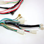 Engine AC Wiring Harness for 150cc 250cc PIT Quad Dirt Bike ATV Buggy (2000–2023)