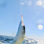 Outdoor Bait Jigs Set of 4 with Supporting String 0.6mm/150cm