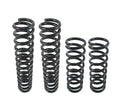 Set of 2 Coil Springs for Mercedes W123 300CD 300D (1976–1985)
