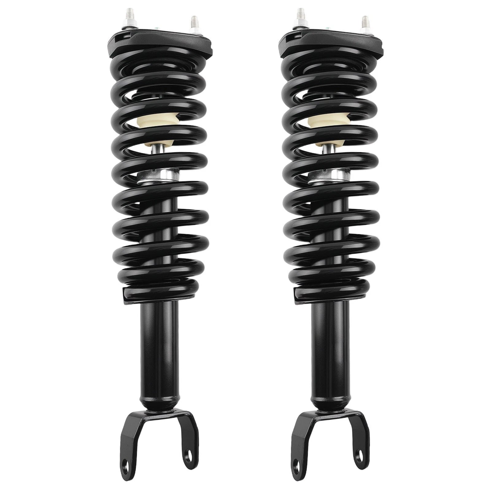 2X Front Complete Struts Coil Springs for Dodge Dakota (2005–2009) 171100