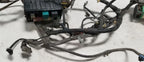 Engine Harness Main with Fuse Box for Ford Thunderbird LX Cougar (1992)