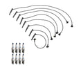 Denso 8mm Wire Set & 8 Double Platinum Spark Plugs for Ford 4.6 V8 (1996–2004)