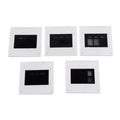 5 Piece Circular Diffraction Gratings for Research Projects