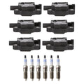 Set of 6 Ignition Coils & Spark Plugs for Chevrolet Express 2500 3500 (2003–2023)