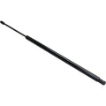 Lift Support for Chrysler Town & Country (2008–2010) Driver & Passenger Side