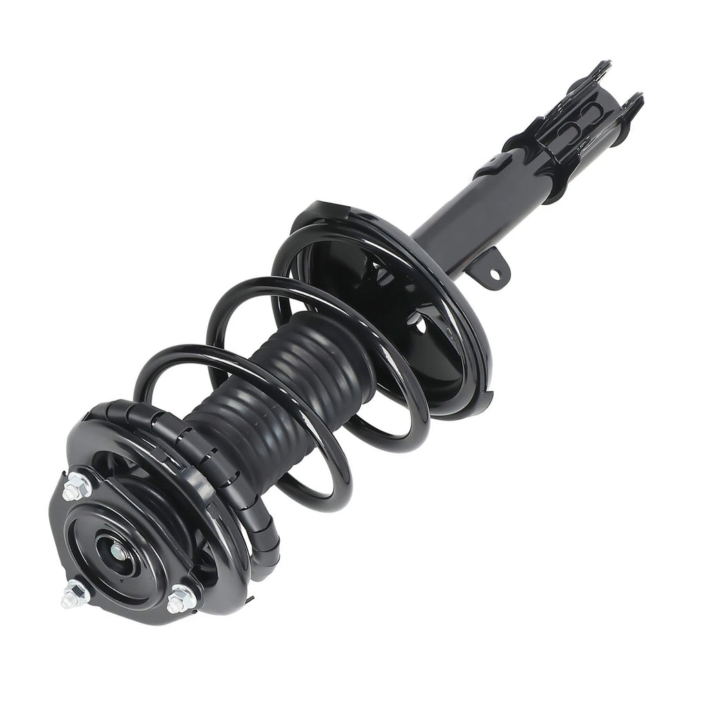 2X Front Struts w/ Coil Spring Assembly for Toyota RAV4 AWD (2000–2005)