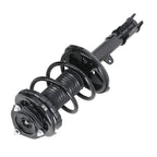 2X Front Struts w/ Coil Spring Assembly for Toyota RAV4 AWD (2000–2005)