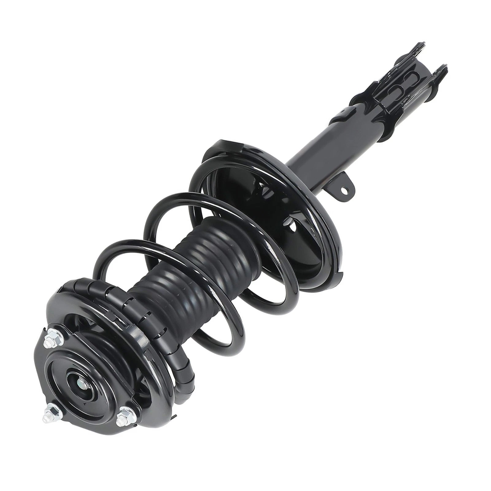 2X Front Struts w/ Coil Spring Assembly for Toyota RAV4 AWD (2000–2005)