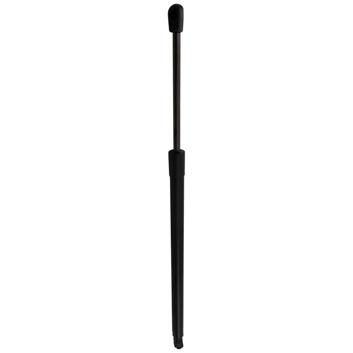 Tailgate Lift Support for Lexus NX250 (2022–2023)
