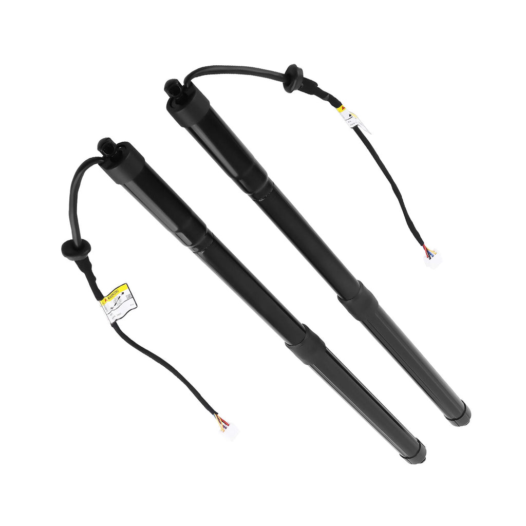 2X Rear Tailgate Lift Support Struts for Lexus RX350 RX450h (2016-2019)