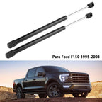 Front Hood Lift Supports Struts for Ford Expedition (1997-2006)