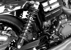Revo Coil Suspension for Legend (14") (1310-1096)
