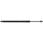Tailgate Lift Support for Lexus NX250 NX350 (2022–2023)