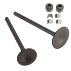 Valve Set Inlet & Exhaust for CG150 ATV Quad Pit Bike Dirt Bike Buggy (150CC)