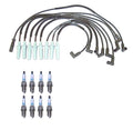 Denso Wire Set & 8 Iridium Spark Plugs Kit for Dodge V8 (0.032)