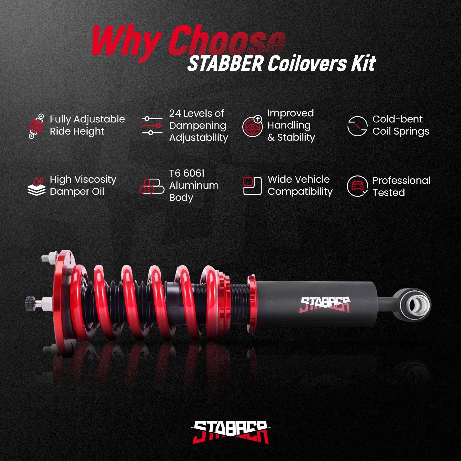 Stabber Coilovers 24 Level Damper Suspension Kit for Nissan Skyline R33 (1993–1998)