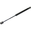 Lift Support for Acura TL (2006–2008)