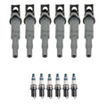 Set of 6 Ignition Coils & Spark Plugs for BMW E60 525xi (2006–2010)