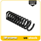 2X Coil Spring Set for Dodge Charger, Magnum (2005–2010) Rear LH & RH