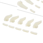 10pcs Duck Head Insert Rim Protector for Tire Changer Machine