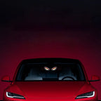 Car Eye LED Light for Vehicle Decoration (Solar Powered)