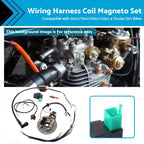 Wire Harness for Dirt Pit Trail Bike (50cc 125cc)