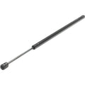 Lift Support for Buick LaCrosse (2005–2007) Left or Right