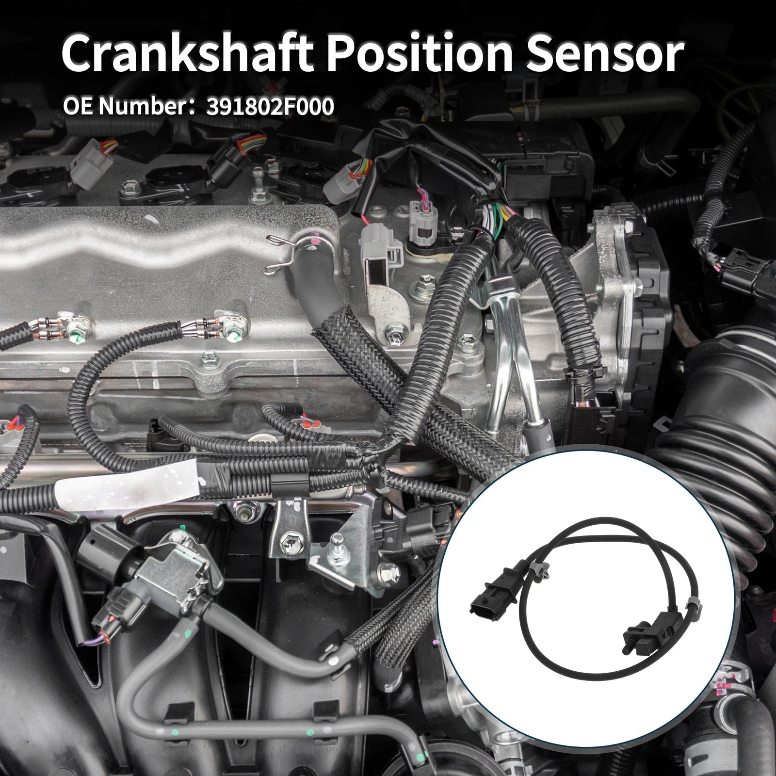Crankshaft Position Sensor for Hyundai Santa Fe CM 2.0 CRDi (2009–2012) No. 39180-2F000