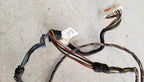 Wire Harness for Jaguar XJ6 XJ12 (1995–1996) LNA3082AE