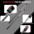 2x Front Hood Lift Support Struts for Mercedes-Benz C-Class (2005-2011)