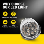 Watermelon LED Bulb Light for Clear Glass Lens (Amber Blue) with Chrome Ring