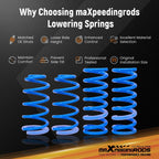 Lowering Springs for Scion xB xA (2004-2007)