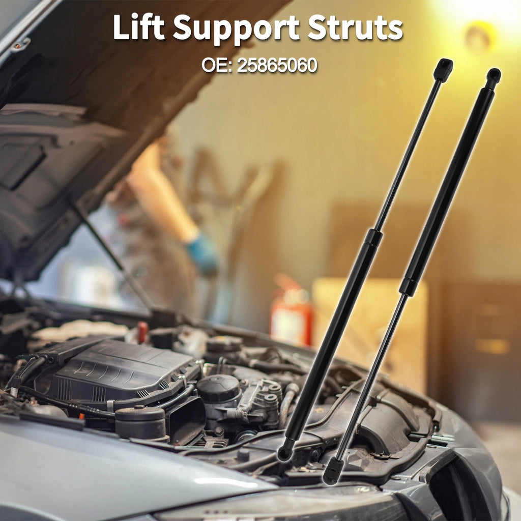 Front Hood Lift Supports Struts No. 25865060 for Chevy Malibu (2008–2012)