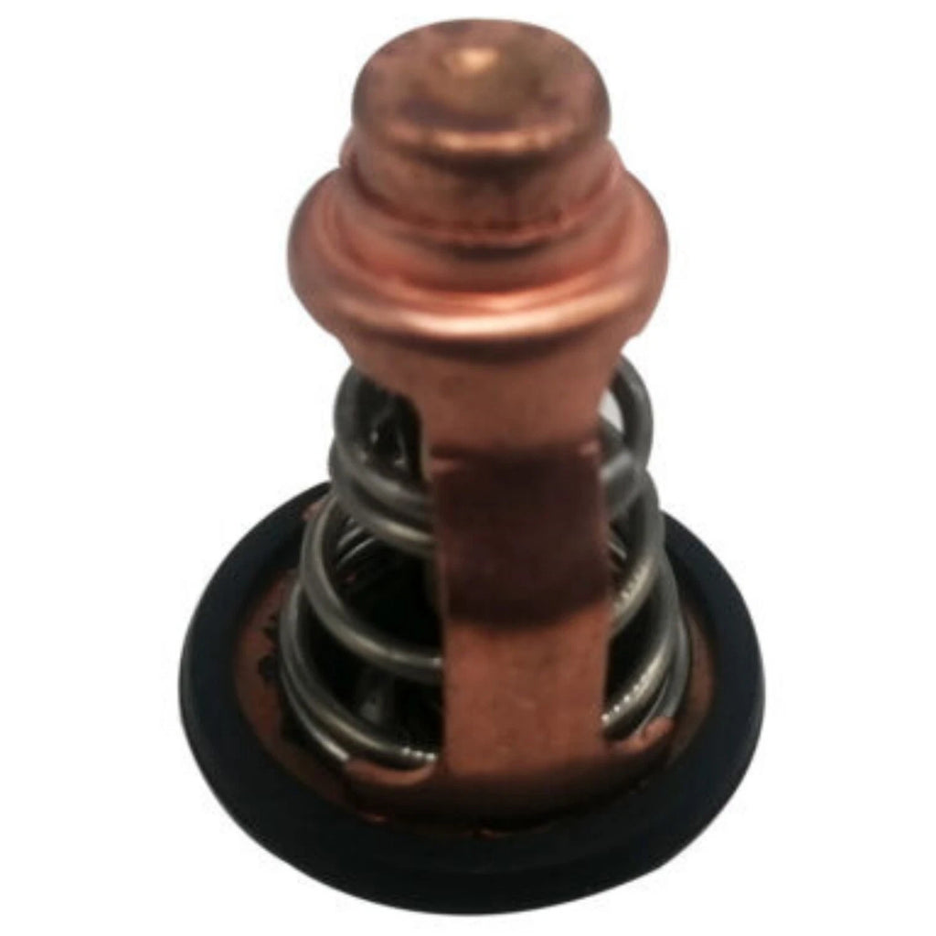 Thermostat for Yamaha F80B F100D Outboard Motor (4-Stroke) (6D9-12411-00)