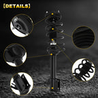 Set of 2 Rear Complete Struts with Coil Springs for Subaru Forester